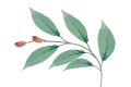 پرده شید طرح طبیعت